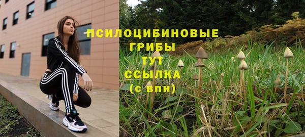 PSILOCYBIN Вязьма