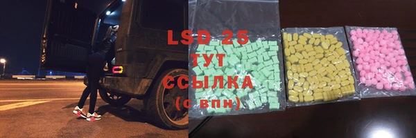 ГАЛЛЮЦИНОГЕННЫЕ ГРИБЫ Вязники