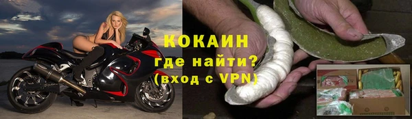 ГАЛЛЮЦИНОГЕННЫЕ ГРИБЫ Вязники
