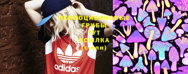 PSILOCYBIN Вязьма