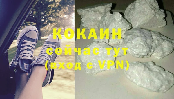 ГАЛЛЮЦИНОГЕННЫЕ ГРИБЫ Вязники