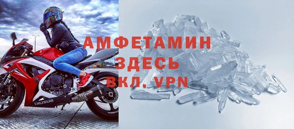 ГАЛЛЮЦИНОГЕННЫЕ ГРИБЫ Вязники