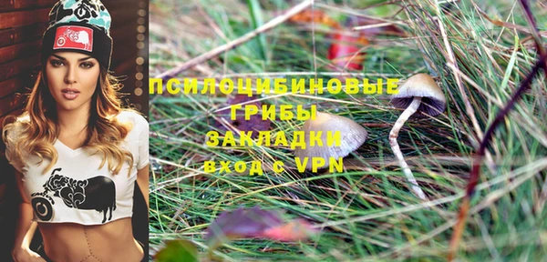 PSILOCYBIN Вязьма