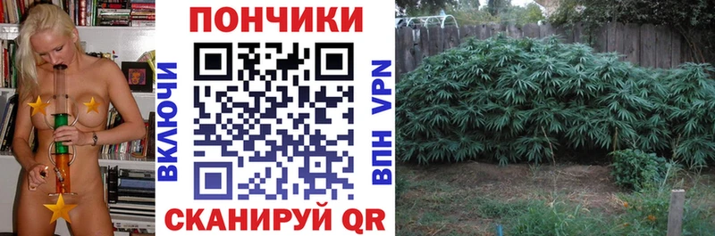купить наркотик  Назрань  Марихуана планчик 